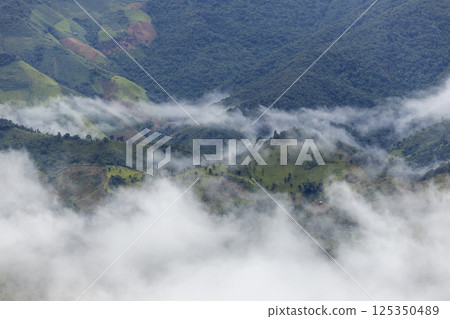 Landscape of Morning Mist with Mountain Layer. mountain ridge and clouds in rural jungle bush forest Landscape of Morning Mist with Mountain Layer. mountain ridge and clouds in rural jungle bush forest 125350489