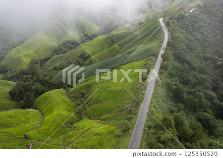 Landscape of Morning Mist with Mountain Layer. mountain ridge and clouds in rural jungle bush forest Landscape of Morning Mist with Mountain Layer. mountain ridge and clouds in rural jungle bush forest 125350520