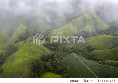 Landscape of Morning Mist with Mountain Layer. mountain ridge and clouds in rural jungle bush forest Landscape of Morning Mist with Mountain Layer. mountain ridge and clouds in rural jungle bush forest 125350521