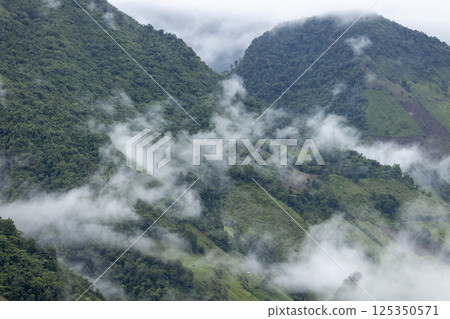 Landscape of Morning Mist with Mountain Layer. mountain ridge and clouds in rural jungle bush forest 125350571