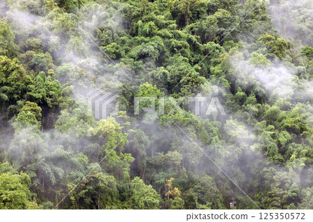 Landscape of Morning Mist with Mountain Layer. mountain ridge and clouds in rural jungle bush forest 125350572