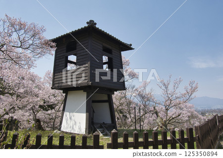 長野縣伊那市太鼓塔高遠城跡公園櫻花盛開 長野縣伊那市太鼓塔高遠城跡公園櫻花盛開 125350894