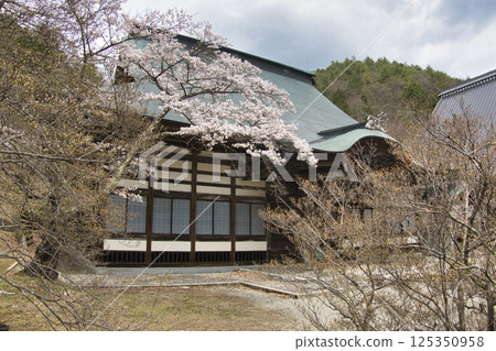 Reishoji Temple during cherry blossom season in Omachi, Nagano Prefecture Reishoji Temple during cherry blossom season in Omachi, Nagano Prefecture 125350958