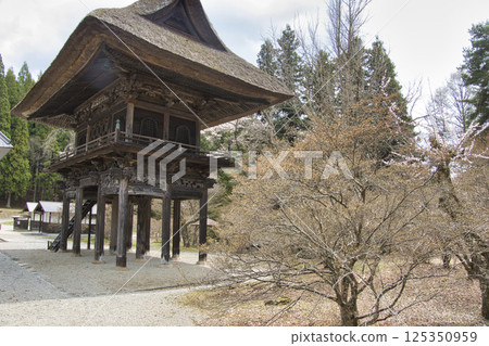 Reishoji Temple during cherry blossom season in Omachi, Nagano Prefecture Reishoji Temple during cherry blossom season in Omachi, Nagano Prefecture 125350959