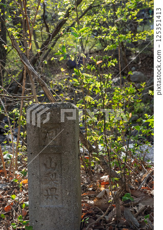 A Yamanashi Prefecture boundary sign standing quietly in the forest of Yatsugatake 125351413