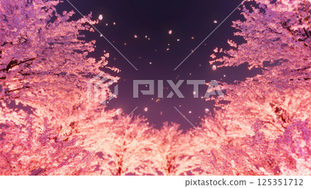 Row of cherry blossom trees and snowstorm / cherry blossoms at night Row of cherry blossom trees and snowstorm / cherry blossoms at night 125351712