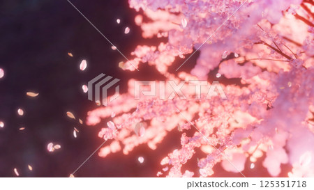 Overlooking cherry blossoms, meadows and cherry blossom snowstorm / night cherry blossoms 125351718