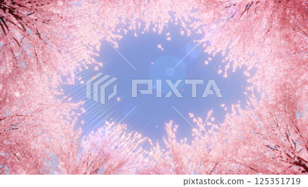 A row of cherry blossom trees and a snowstorm looking up / noon 125351719