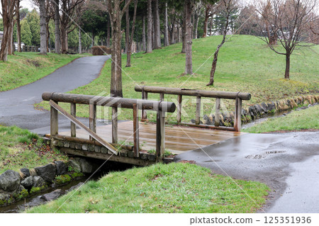 bridge, park, wooden, green, river, public facility, tree, grass, walk, stroll, walking, plants bridge, park, wooden, green, river, public facility, tree, grass, walk, stroll, walking, plants 125351936
