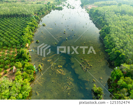 Aerial view top down Drone view over swamp or lake,Amazing nature view in the morning at Klong root lake Krabi Thailand 125352474