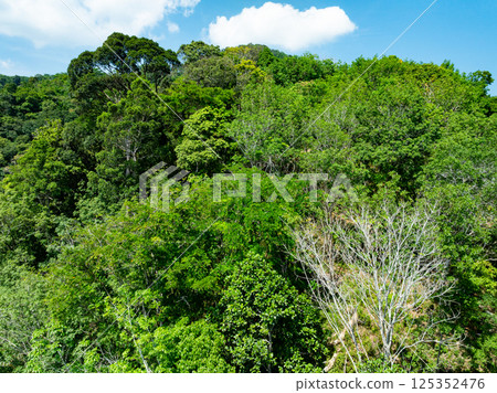 Aerial view drone shot of mountains tropical rainforest,Bird eye view forest trees, Amazing nature background Aerial view drone shot of mountains tropical rainforest,Bird eye view forest trees, Amazing nature background 125352476