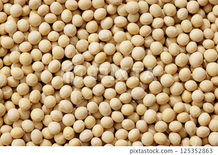 A field of soybeans from Tokachi, Hokkaido 125352863