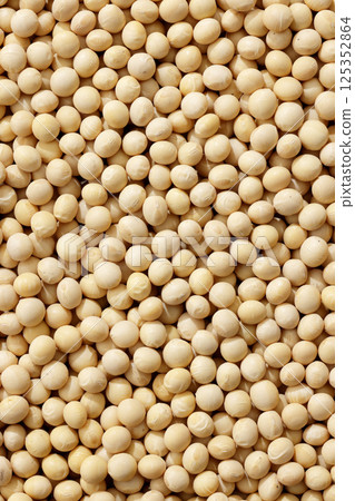 A field of soybeans from Tokachi, Hokkaido 125352864