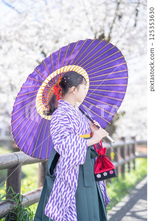 A female student wearing a hakama under the cherry blossoms 125353630