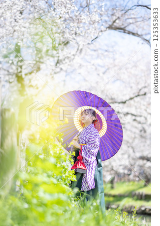 A female student wearing a hakama under the cherry blossoms 125353633