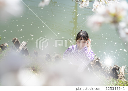 A female student wearing a hakama under the cherry blossoms 125353641