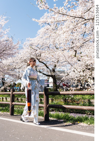 中年婦人櫻花肖像 中年婦人櫻花肖像 125353664