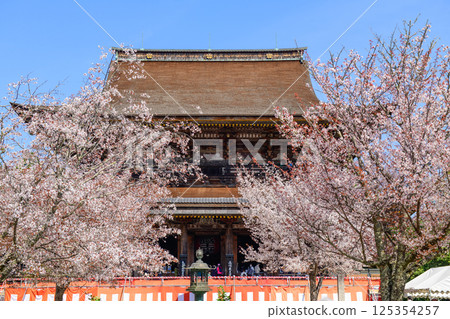 奈良縣吉野山金峰寺的櫻花和國寶藏王堂 125354257