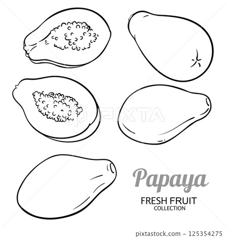 Papaya Fruits Set Outline Illustration. 125354275