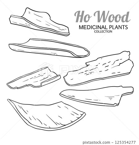 Ho Wood Set Outline Illustration 125354277