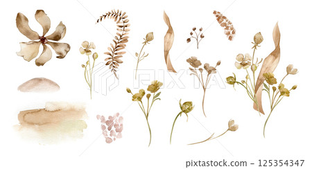 Watercolor floral clipart in beige wildflowers isolated. Monochrome flowers in soft sepia tones hand drawn. Dry delicate blooms, herbs, foliage, splash in light brown. Muted botanical illustrations. 125354347