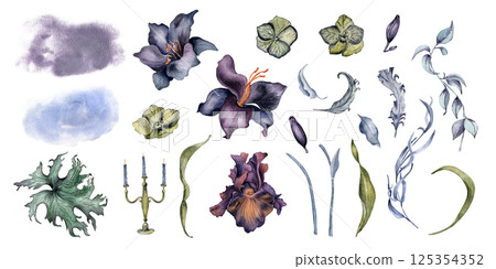 Vintage watercolor clipart of purple lilies, dark iris, foliage, wavy branches , feathers, and candelabra isolated. Hand painted floral set in moody tones for gothic wedding invitations, black decor. 125354352