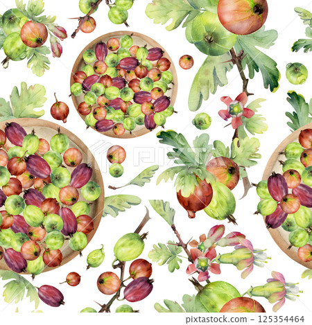 Gooseberry Currant berries leaves on ceramic dish, hand drawn in watercolor, ripe picked harvest, lingonberry huckleberry. Isolated seamless pattern. Restaurant menu, cookbook, farmers market grocery 125354464