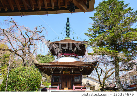 Tahoto Pagoda and Weeping Cherry Blossoms, Tounan-in Temple, Mount Yoshino, Nara Prefecture 125354679