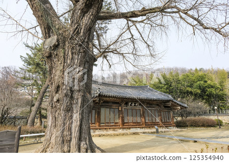 全州鄉校,朝鮮王朝時期的國家教育機構 全州鄉校,朝鮮王朝時期的國家教育機構 125354940