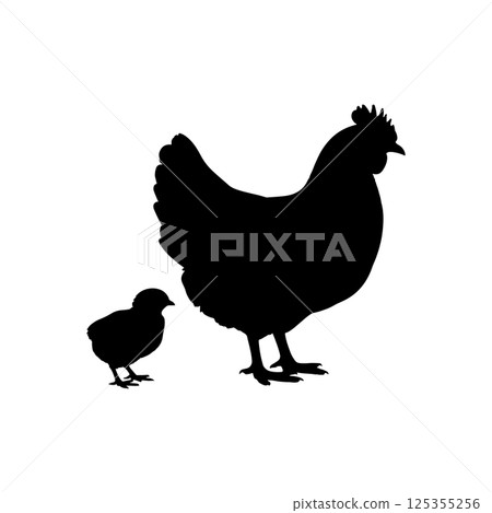 Black silhouette of a hen and chick icon vector Black silhouette of a hen and chick icon vector 125355256