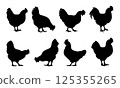 Black silhouette of a hen icon vector 125355265