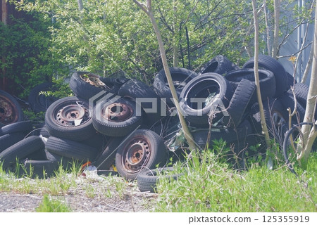 草地上的舊輪胎 草地上的舊輪胎 125355919
