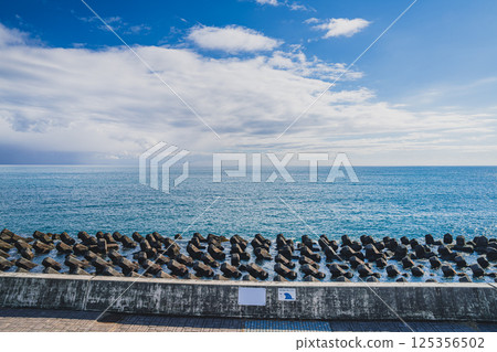 靜岡市廣野海岸公園(靜岡縣)的海面上漂浮著四足動物的景象 靜岡市廣野海岸公園(靜岡縣)的海面上漂浮著四足動物的景象 125356502
