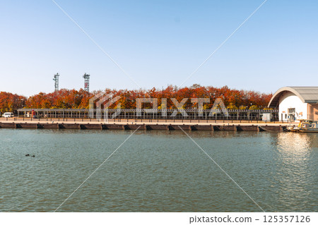 Shinano river in Niigata 125357126