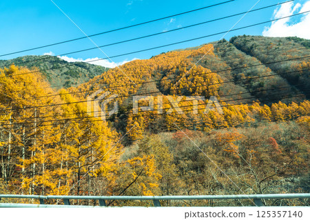 View of Seki river near Naena waterfall in autumn season in Niigata, Japan View of Seki river near Naena waterfall in autumn season in Niigata, Japan 125357140