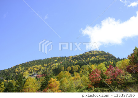 長野縣志賀高原橫手山的秋葉 長野縣志賀高原橫手山的秋葉 125357190