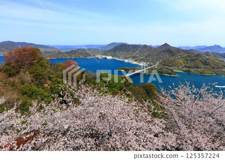 [愛媛郡] 春天櫻花盛開時，從嘉井山展望公園眺望博多大島橋（島波街道） 125357224