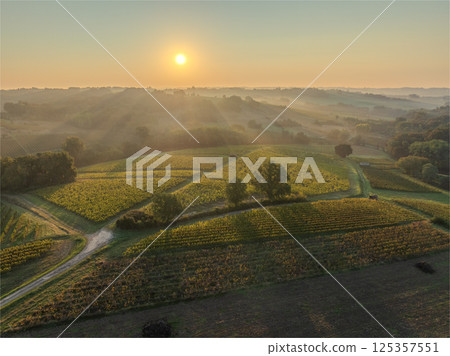 Sunset landscape bordeaux wineyard france, europe Nature 125357551