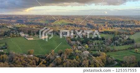 France, Gironde, Tabanac, Aerial view of the vineyard and wooded areas of Chateau le Pic in the 125357555