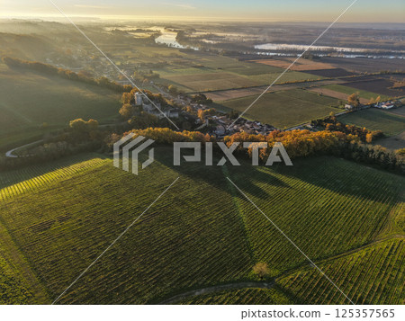 France, Gironde, Haut-Langoiran, Aerial view of the vineyard and wooded areas of Chateau de 125357565