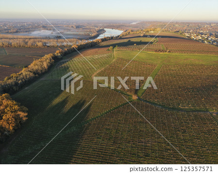 France, Gironde, Haut-Langoiran, Aerial view of the vineyard and wooded areas of Chateau de 125357571