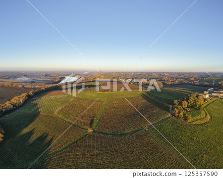 France, Gironde, Haut-Langoiran, Aerial view of the vineyard and wooded areas of Chateau de France, Gironde, Haut-Langoiran, Aerial view of the vineyard and wooded areas of Chateau de 125357590