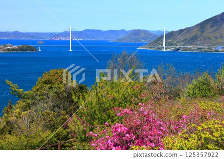 [愛媛郡] 博多海山公園與多多羅橋（島波街）春季櫻花盛開 125357922