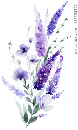 Bouquet made of watercolor lavender flowers. Purple wildflowers wedding isolated illustration 125358391