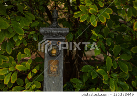 Drinking water in the public park. A faucet with water on the street. High quality photo. Drinking water in the public park. A faucet with water on the street. High quality photo. 125358449