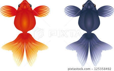 Realistic goldfish illustration 125358492
