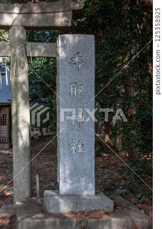 春天的土浦市下坂田香取神社石碑，陽光透過樹梢灑落下來 125358925