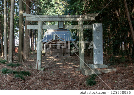 春天,陽光透過樹梢灑在土浦市下坂田市香取神社的鳥居和石碑上 春天,陽光透過樹梢灑在土浦市下坂田市香取神社的鳥居和石碑上 125358926