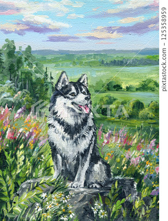 Siberian husky dog sitting on rock in wildflower field, scenic landscape, acrylic painting, nature pet art, Animal print 125358959