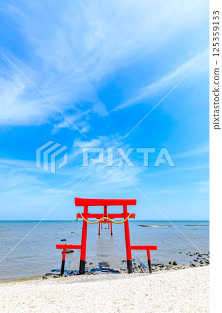 The underwater torii gate of Ooguo Shrine at high tide in Tara Town, Saga Prefecture 125359133